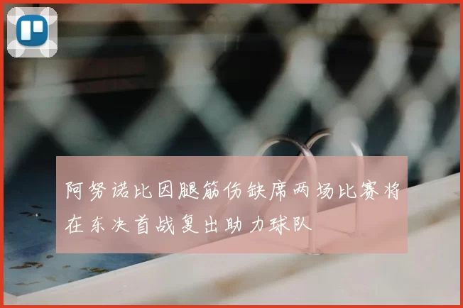 阿努诺比因腿筋伤缺席两场比赛将在东决首战复出助力球队