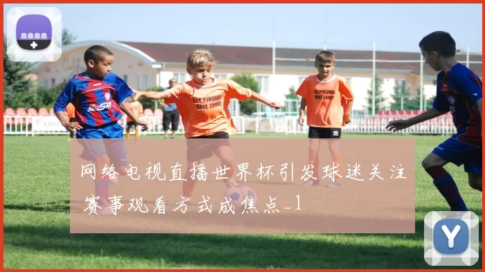网络电视直播世界杯引发球迷关注 赛事观看方式成焦点_1