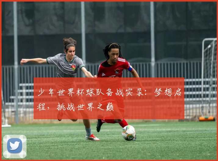 少年世界杯球队备战实录:梦想启程,挑战世界之巅