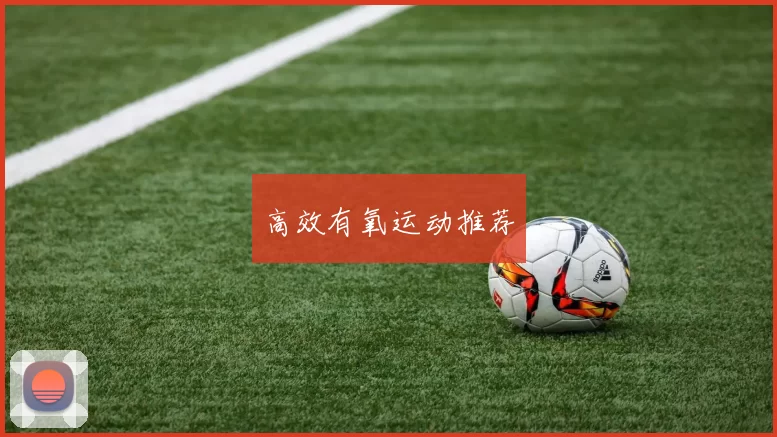 高效有氧运动推荐