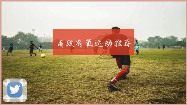 高效有氧运动推荐