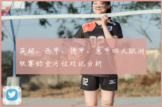 英超、西甲、德甲、意甲四大欧洲联赛的全方位对比分析