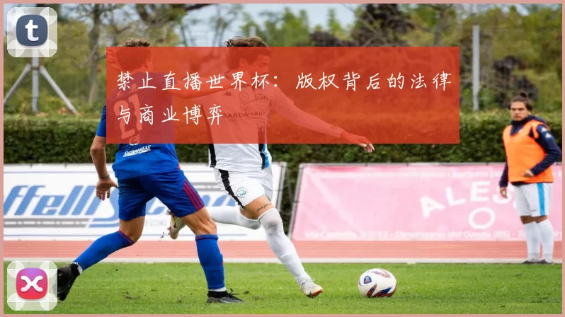 禁止直播世界杯:版权背后的法律与商业博弈