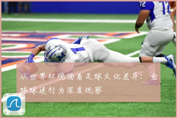 从世界杯现场看足球文化差异：全球球迷行为深度观察