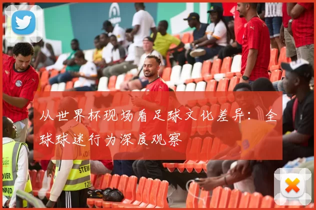 从世界杯现场看足球文化差异:全球球迷行为深度观察