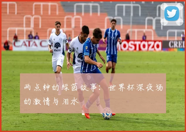 两点钟的绿茵故事：世界杯深夜场的激情与泪水