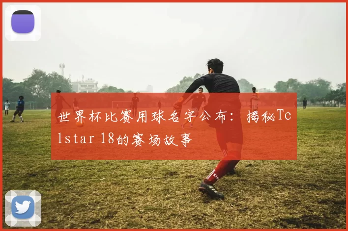 世界杯比赛用球名字公布：揭秘Telstar 18的赛场故事