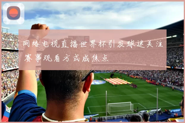 网络电视直播世界杯引发球迷关注 赛事观看方式成焦点