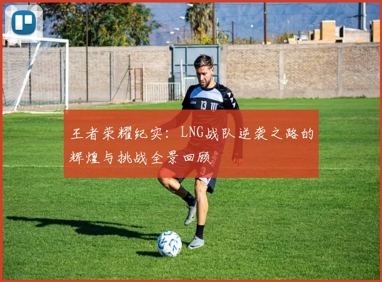 王者荣耀纪实：LNG战队逆袭之路的辉煌与挑战全景回顾