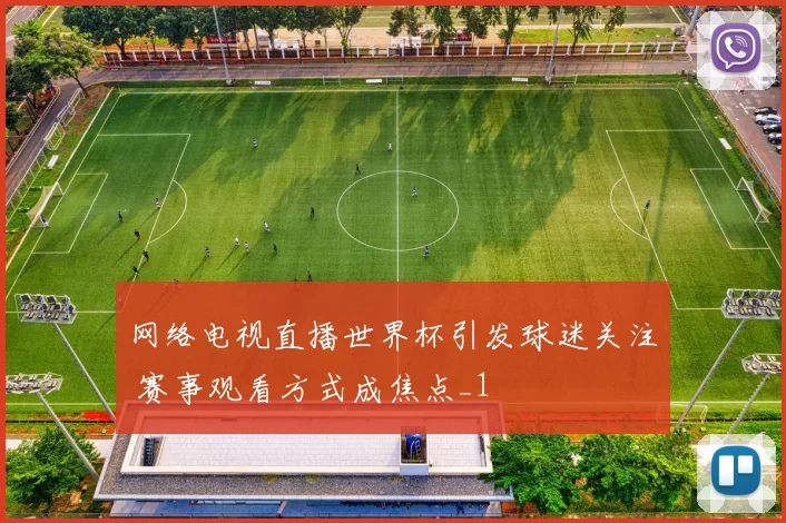 网络电视直播世界杯引发球迷关注 赛事观看方式成焦点_1