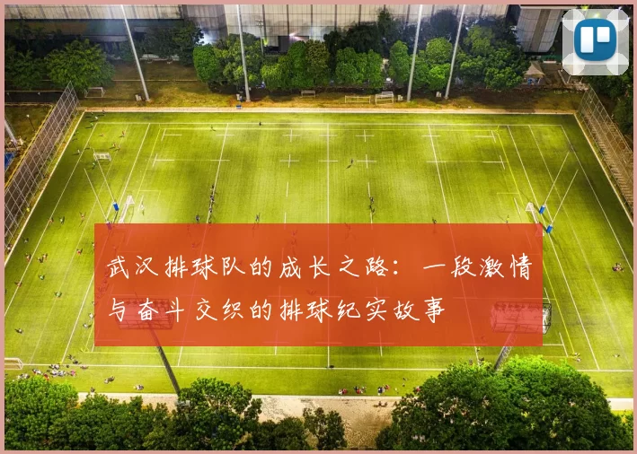 武汉排球队的成长之路:一段激情与奋斗交织的排球纪实故事
